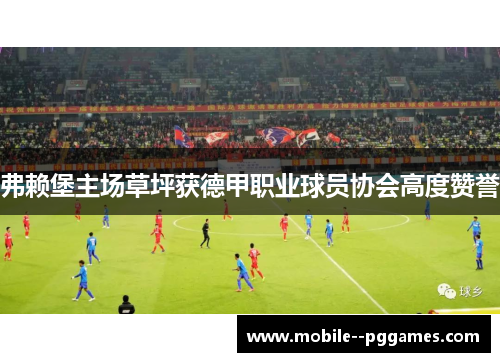 弗赖堡主场草坪获德甲职业球员协会高度赞誉